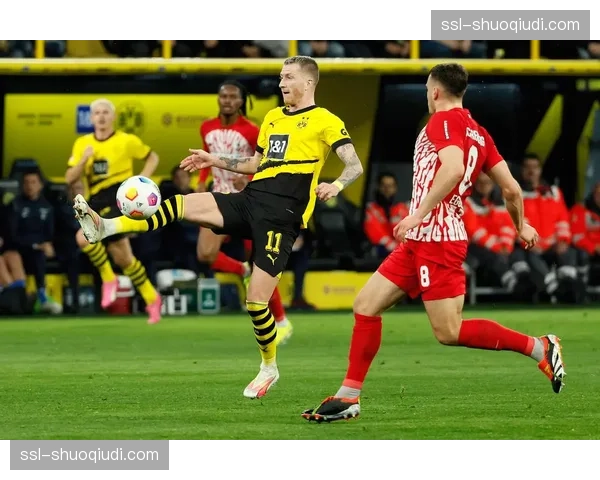 专访弗赖堡主帅施特赖希:谈“平衡足球”哲学与培养全能型中场 专访弗赖堡主帅施特赖希:谈“平衡足球”哲学与培养全能型中场