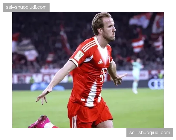 独家对话凯恩:打破莱万纪录后的感受、英超与德甲的差异 独家对话凯恩:打破莱万纪录后的感受、英超与德甲的差异