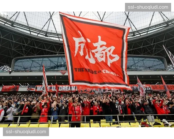 武汉三镇vs成都蓉城：领头羊客场挑战，三镇能否终结蓉城不败金身